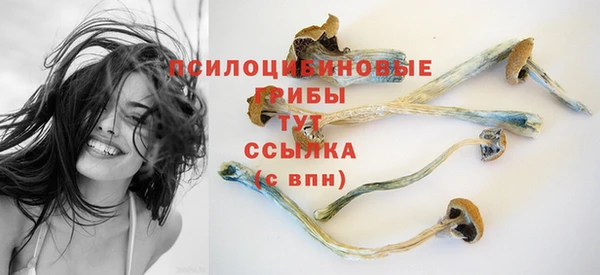 крисы Алексеевка