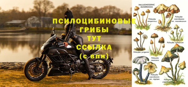 стаф Покров