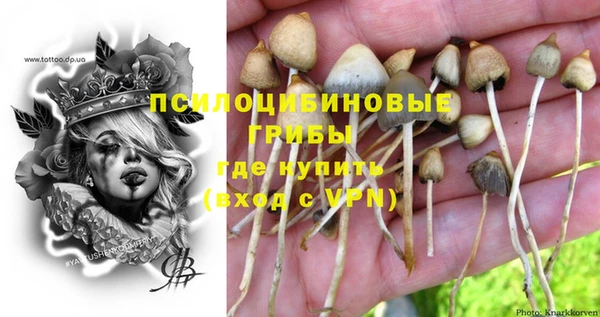 спиды Арсеньев