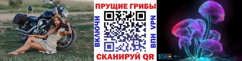 что такое наркотик Котлас Галлюциногенные грибы мухоморы