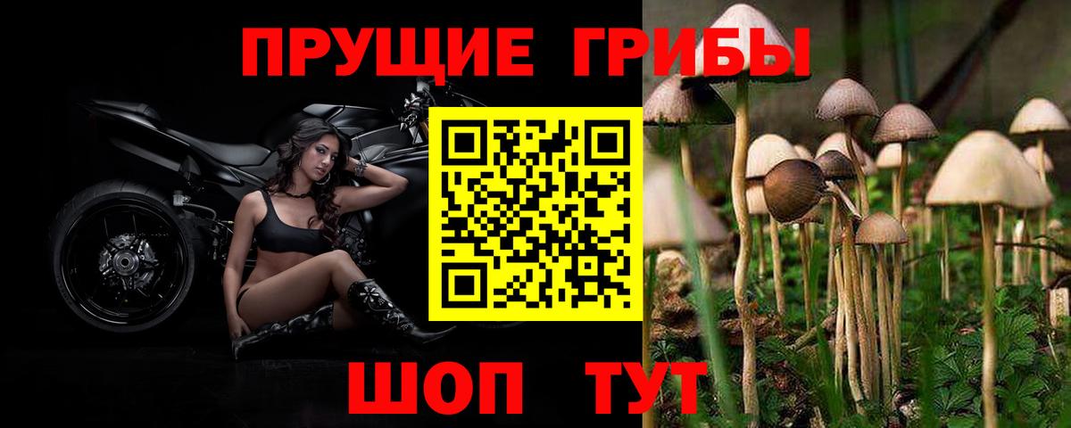 Котлас  Псилоцибиновые грибы Magic Shrooms  купить  сайты  Вход с VPN 