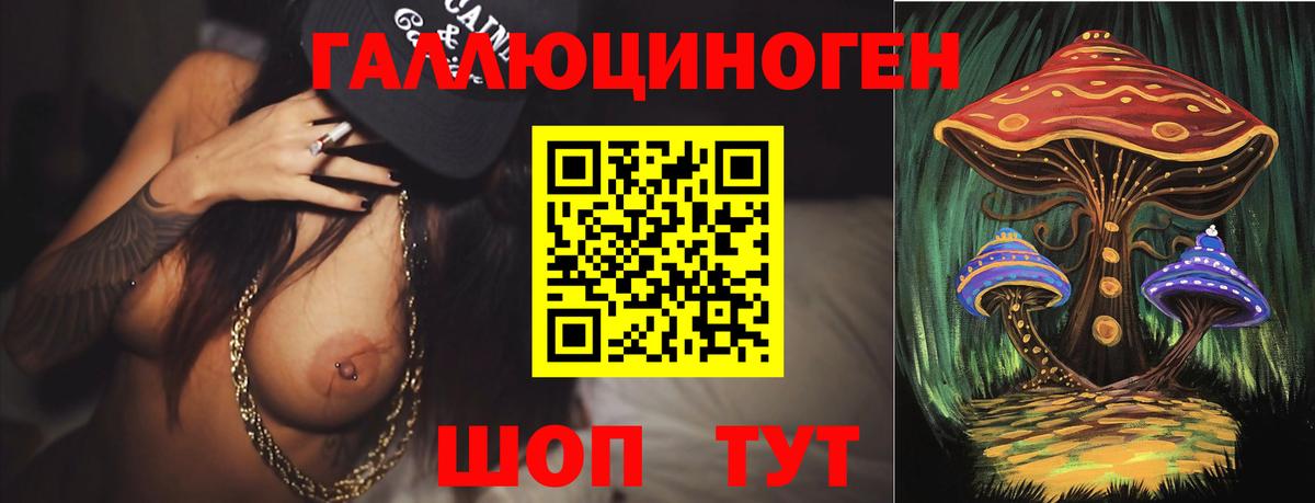 Псилоцибиновые грибы Psilocybe Котлас