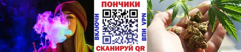 купить  цена  даркнет состав  Канабис SATIVA & INDICA  Котлас  гидра онион 